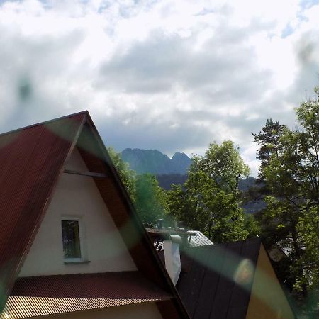 Apartament Droga Na Bystre 9A ザコパネ エクステリア 写真