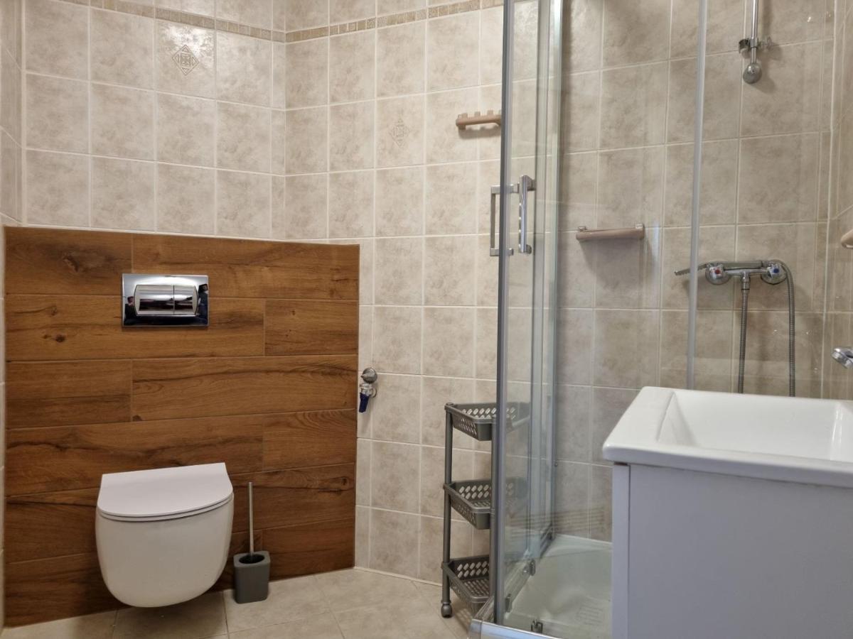 Apartament Droga Na Bystre 9A ザコパネ エクステリア 写真