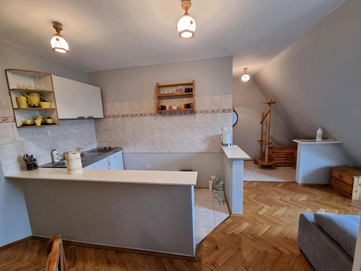 Apartament Droga Na Bystre 9A ザコパネ エクステリア 写真