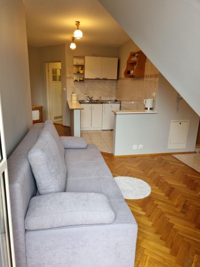Apartament Droga Na Bystre 9A ザコパネ エクステリア 写真