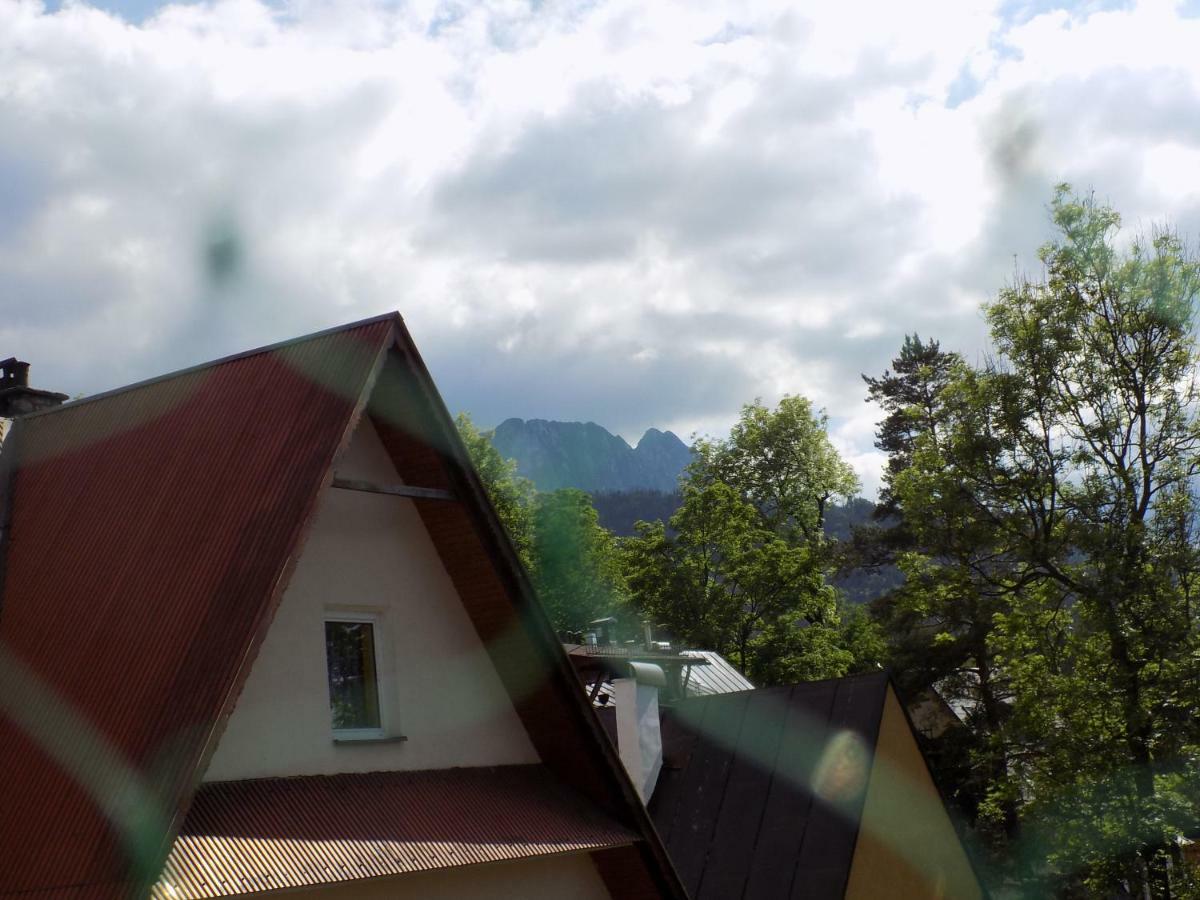 Apartament Droga Na Bystre 9A ザコパネ エクステリア 写真